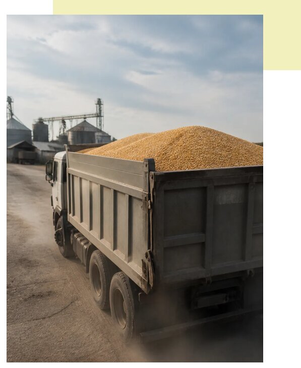 Перевозка сельхозпродукции навалом в Учалы по цене от 3050 р. | Агросервис-Члы